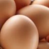 卵で作る簡単「もう一品」副菜献立レシピ